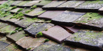 Hardmead roof repair costs